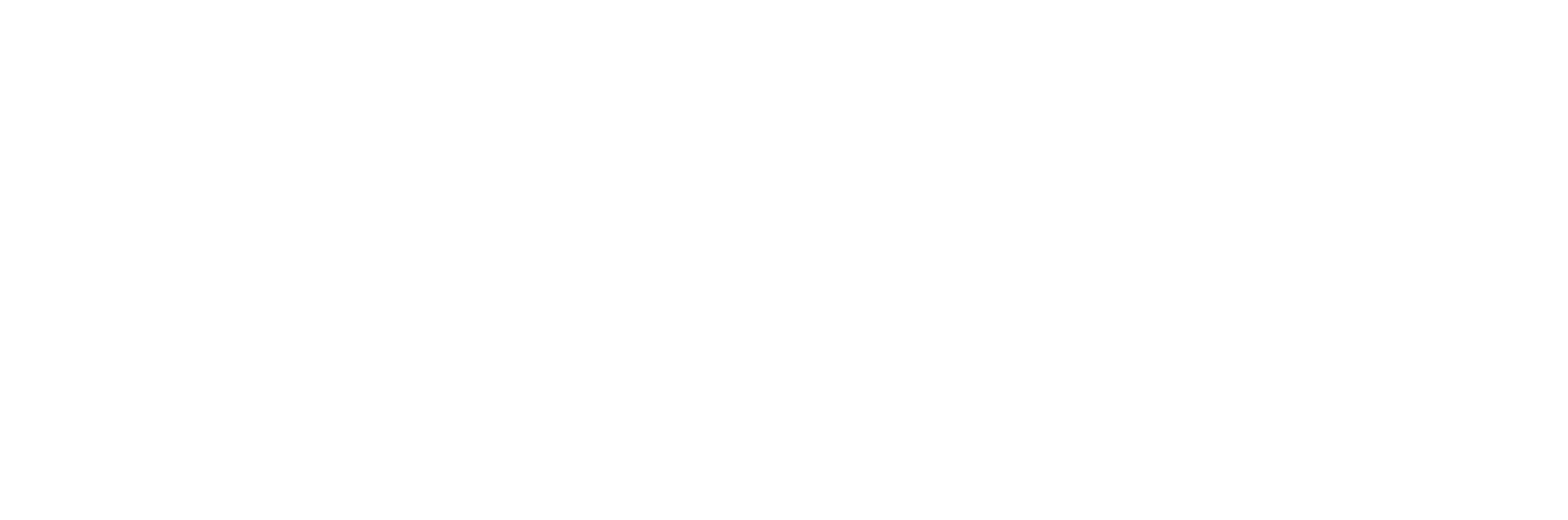 Fawzi Ronadi white logo