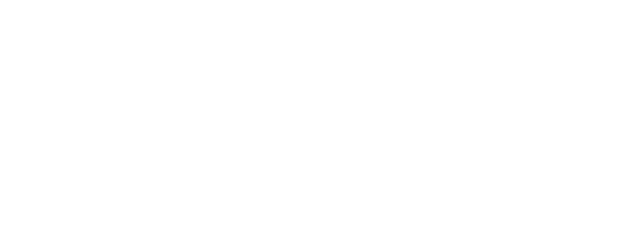 NAS Film Production logo