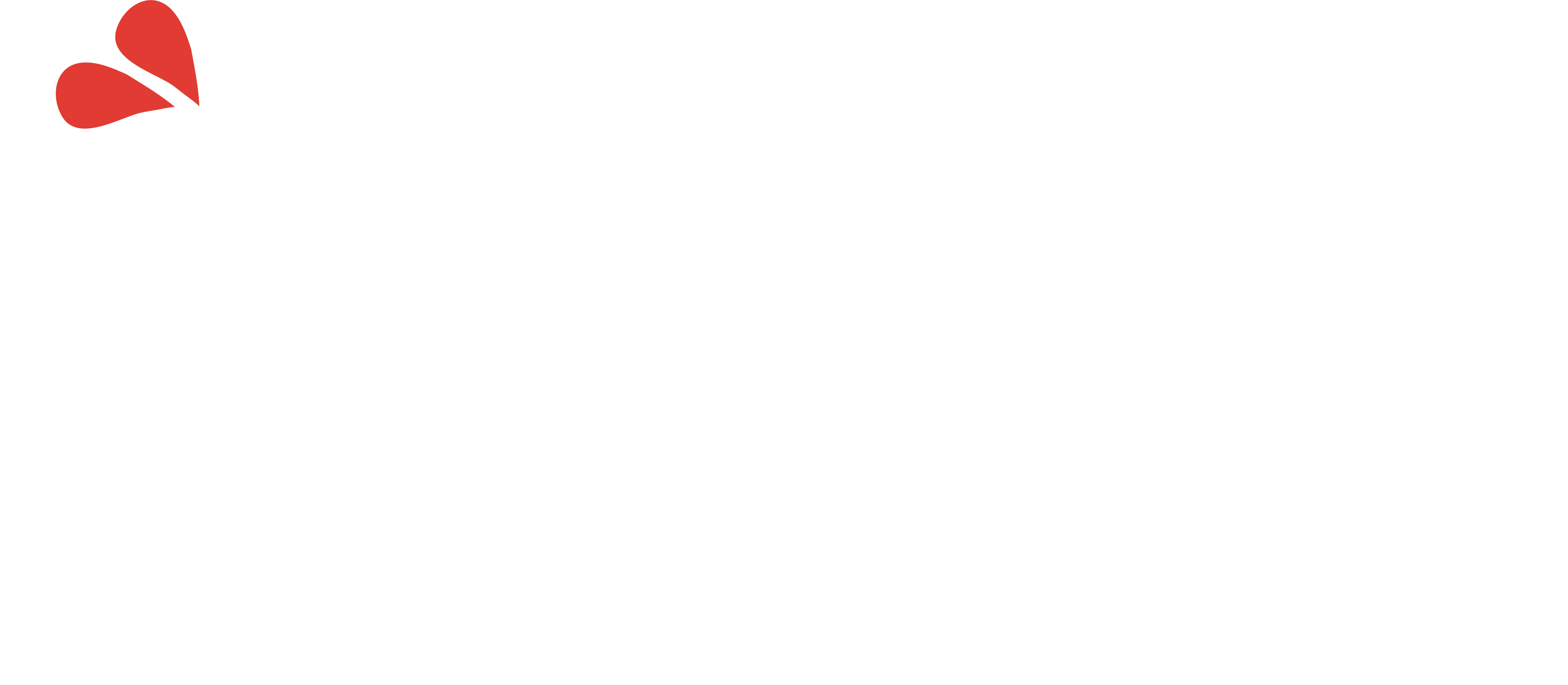 Paula reversed logo